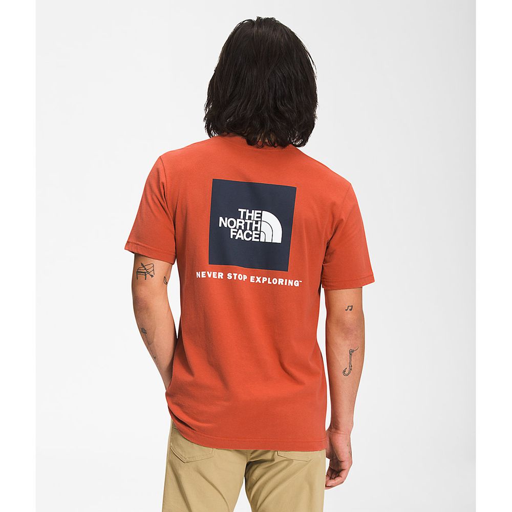 The North Face T-Shirts Mens Australia - The North Face Short Sleeve Box Nse Orange Never Stop Explo